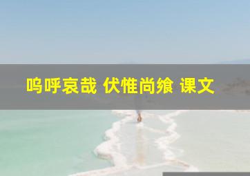 呜呼哀哉 伏惟尚飨 课文